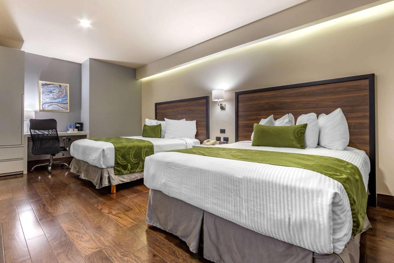 Quality Inn Chihuahua San Francisco Esterno foto